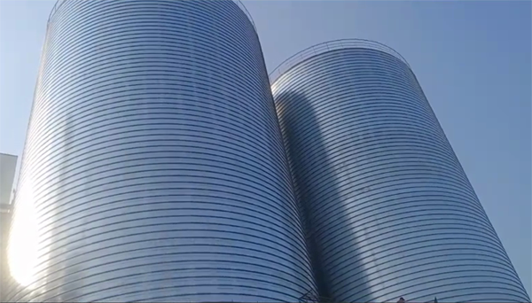 阳新2座混凝土高架卷板仓